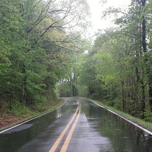 Meet your Posher, Eva